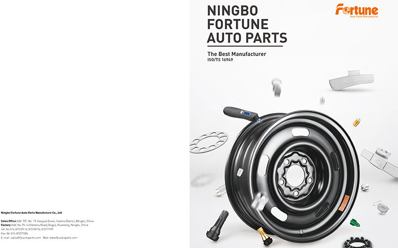 2018 Forture Product Catalogue-1